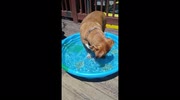 temp