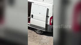 UK builders make bee-line for cover after their site was covered by thousands of bees