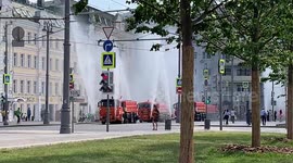 In Moscow, saved from poplar fluff