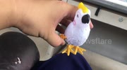temp