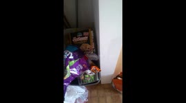 Dirty, untidy, disgusting kitchen