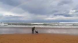 Dog Playin Beach with Rainbow