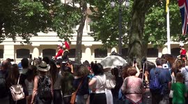 White lace parasol is blocking view at the dress rehearsal of Trooping the Colour 2019 on 1 June