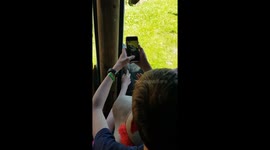 Panda with fans at Beauval's zoo