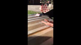 Slow Motion Card Shuffling