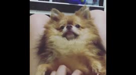 Don't wake me up! i'm sleeping like a boss!