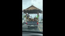 Bizarre moment pet dog and 4 men ride in bamboo hut on wheels