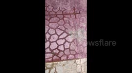 Water fills tiles in oddly satisfying manner in Lebanon