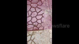 Newsflare Edit - Water filling these tiles