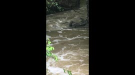 RIVERS AND CREEKS ON THE RISE