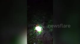 Horrifying moment farmer found dead after being attacked by 23-foot-long python