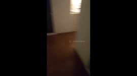 Live Footage of a Funny Ghost in the Cellar! 