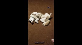 Not now, maybe later