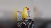 temp