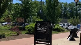Typical day in MA/NH, at the mall than chinese buffet