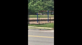 Swings eerily move by themselves