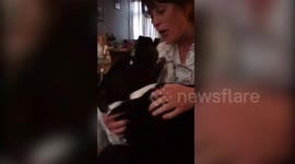 Meet the clever UK dog who appears to say 'hello' to greet his owner