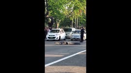 Huge crocodile sparks panic after crossing busy road in Mexico