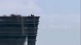 Runaway chicken stays on 22nd-floor window ledge for 7 days in China's Hangzhou