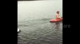 Cat goes surfing with his owner in Canada