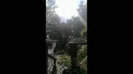 Heavy summer downpour