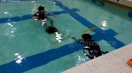 World's first turbo-flipper which makes people 'fly through water' has been developed in US