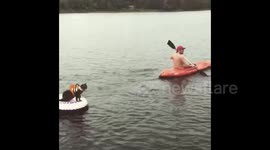 Adventurous cat goes kayaking with his owner in Canada
