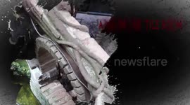 THE LARGEST GATHERING OF SNAKES IN THE WORLD! (Narcisse Snake Dens, Manitoba, Canada)