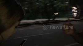 Eating Stuffing grasshopper in Thailand