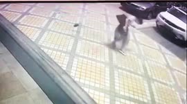 Weight plate falling from residential building hits woman in Shenzhen, China