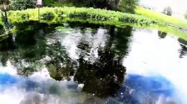 GoPro captures trout feeding frenzy in Idaho, US