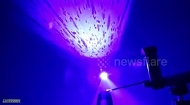 Home laboratory uses 'laser microscope' to see inside drop of water