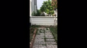 temp