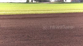 Cold wet spring meant a late start to the growing season for many farmers in Canada and the US, this video is from the Holland Marsh in Bradford north of Toronto with some fields still not planted yet