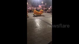 The brave dog fights the big enemy