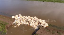 Wainfleet Flood 2019