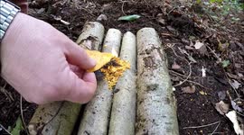 A bit of family fun ....(tortilla fire starter)