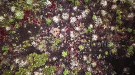 Rare 4k Galapagos Drone Footage