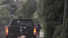 A man got out of his pickup to cut down a fallen tree with a machete