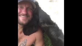 Farmer and pet cow take a swim to help cool off from Texas summer heat