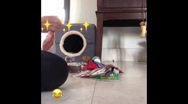 mimi the picky eater threats