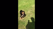 temp