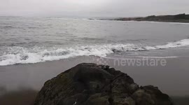 Fort Bragg Black Sand Beach