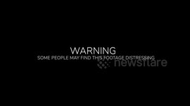 CCTV captured the shocking moment a neighbour threw their kitten NINE ft in the air