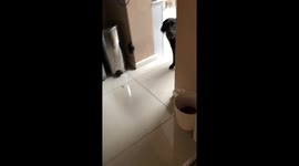 Things to do instead of watching love island