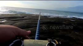 Check this fish take of