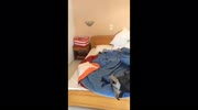 temp