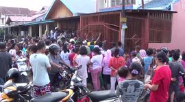 Golden cats are trapped in the homes of residents