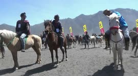 Ocean horse racing tour Mount Bromo Sand