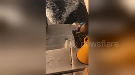 Volcanic ash covers boat as US tourists evacuate Stromboli